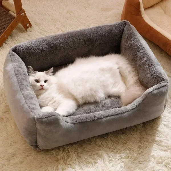 Bed for Cats Pet Products Cushions Kitten Goods Accessories Dog All Houses Supplies Things Accessory Habitats Basket House Beds - Image 2